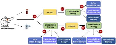 Predictive Biomarkers for a Personalized Approach in Resectable Pancreatic Cancer